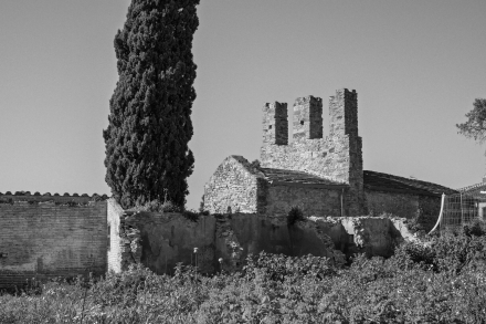 PIMRE