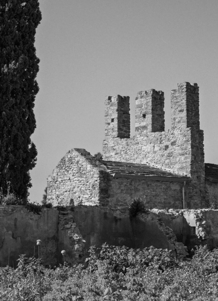 PIMRE