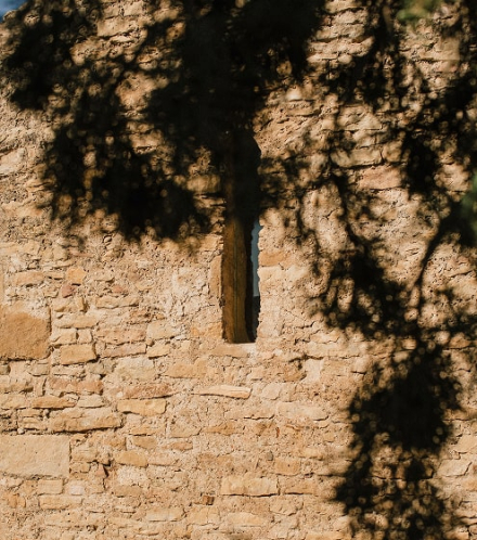 PIMRE